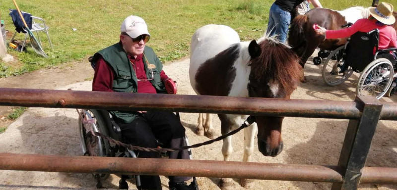 Equithérapie au Poney Club de Darel à Pont Du Casse