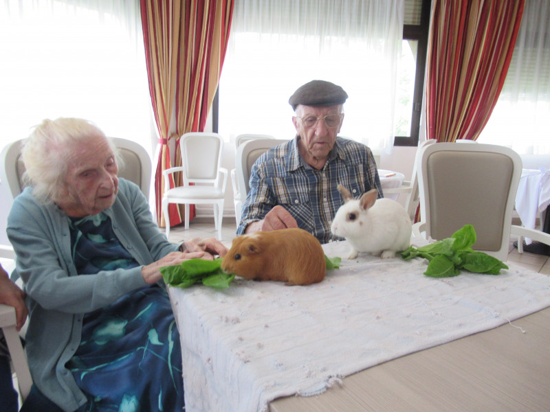 Moment de bien-être  avec l’Institut  de Médiation Animale « PasaPas »