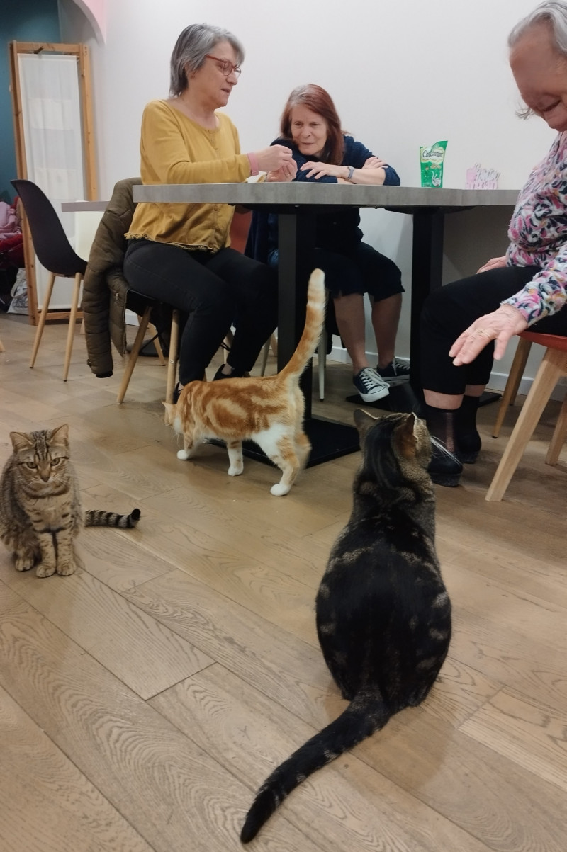 actualité EHPAD SEDNA