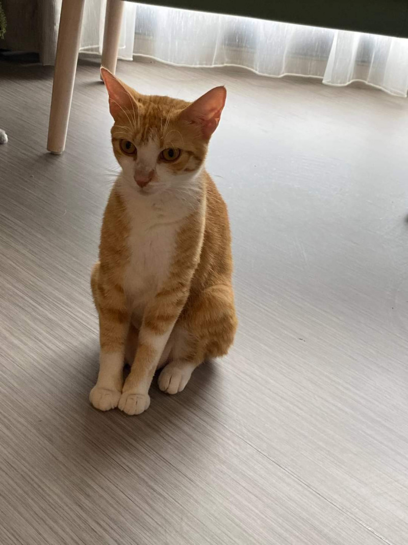 actualité EHPAD SEDNA