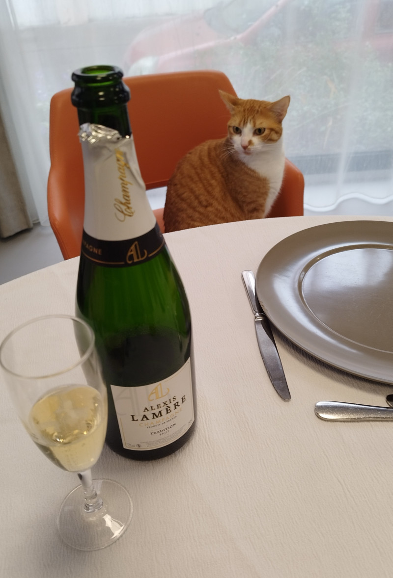 Un repas de fête pour prolonger la magie