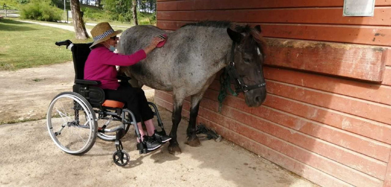 Equithérapie au Poney Club de Darel à Pont Du Casse