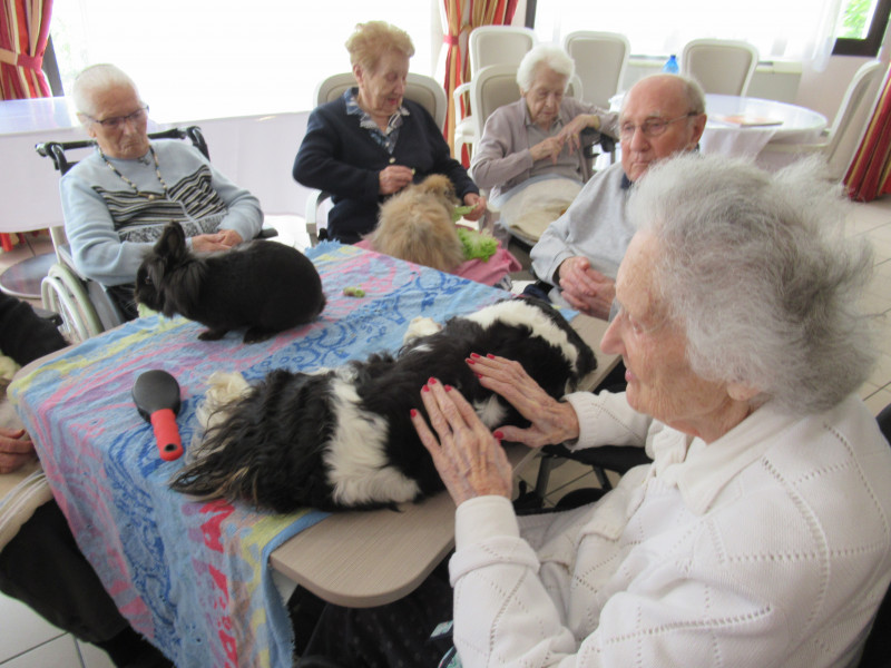 Moment de bien-être  avec l’Institut  de Médiation Animale « PasaPas »