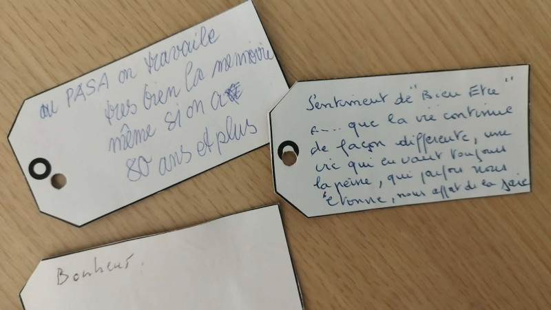 🌳 L’arbre à souhaits du PASA